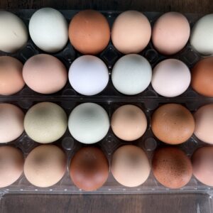 Farm Fresh Eggs