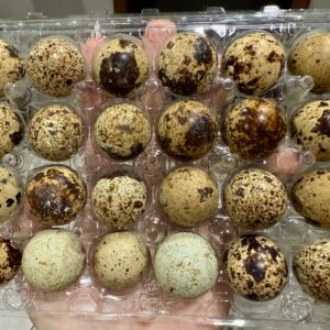 Quail Eggs